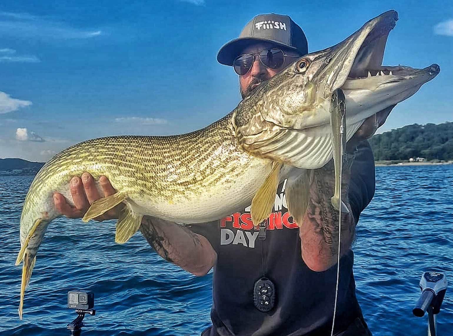SOFT BAIT – parte 1